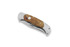 Coltello pieghevole Böker Scout Spire Anniversary Amboina D2 112710