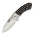 Briceag Medford Theseus Folder