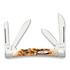 Case Cutlery Small Congress, Amber Bone Peach Seed Jig 10723